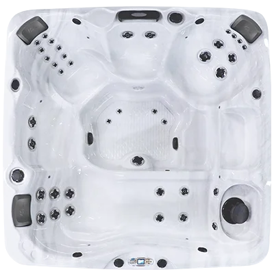 Avalon EC-840L hot tubs for sale in Daejeon