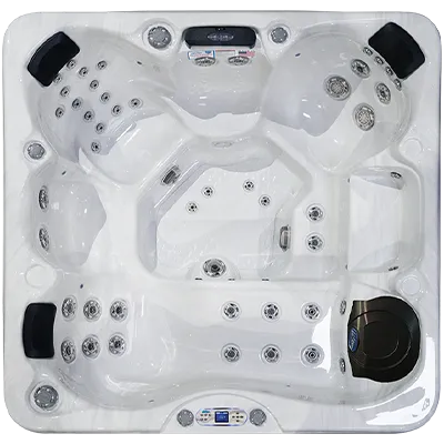Avalon EC-849L hot tubs for sale in Daejeon