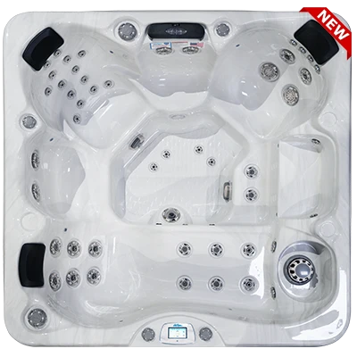 Avalon-X EC-849LX hot tubs for sale in Daejeon