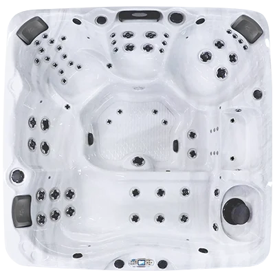 Avalon EC-867L hot tubs for sale in Daejeon